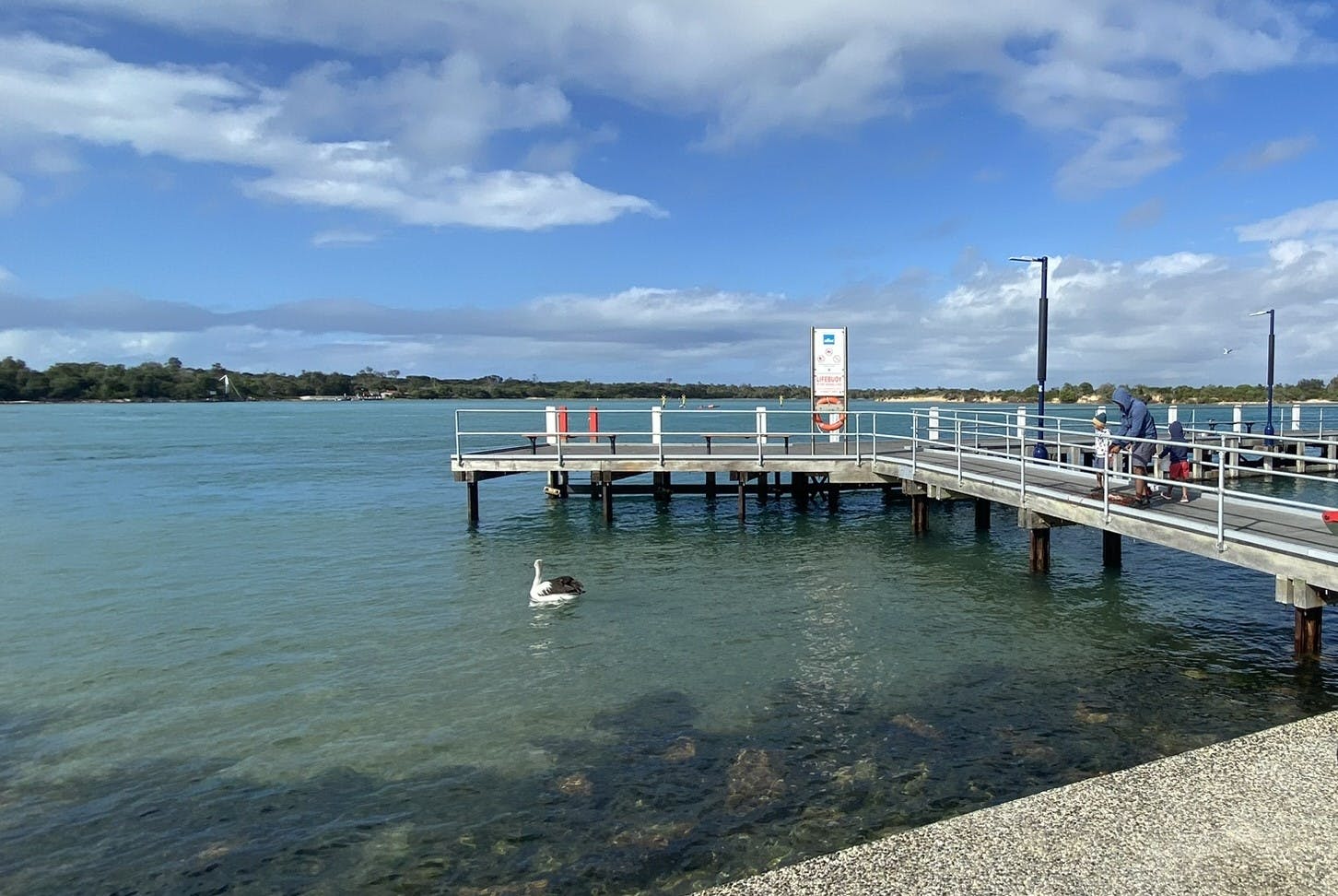 IMG_0018.JPEG