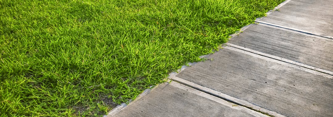 grass next to footpath