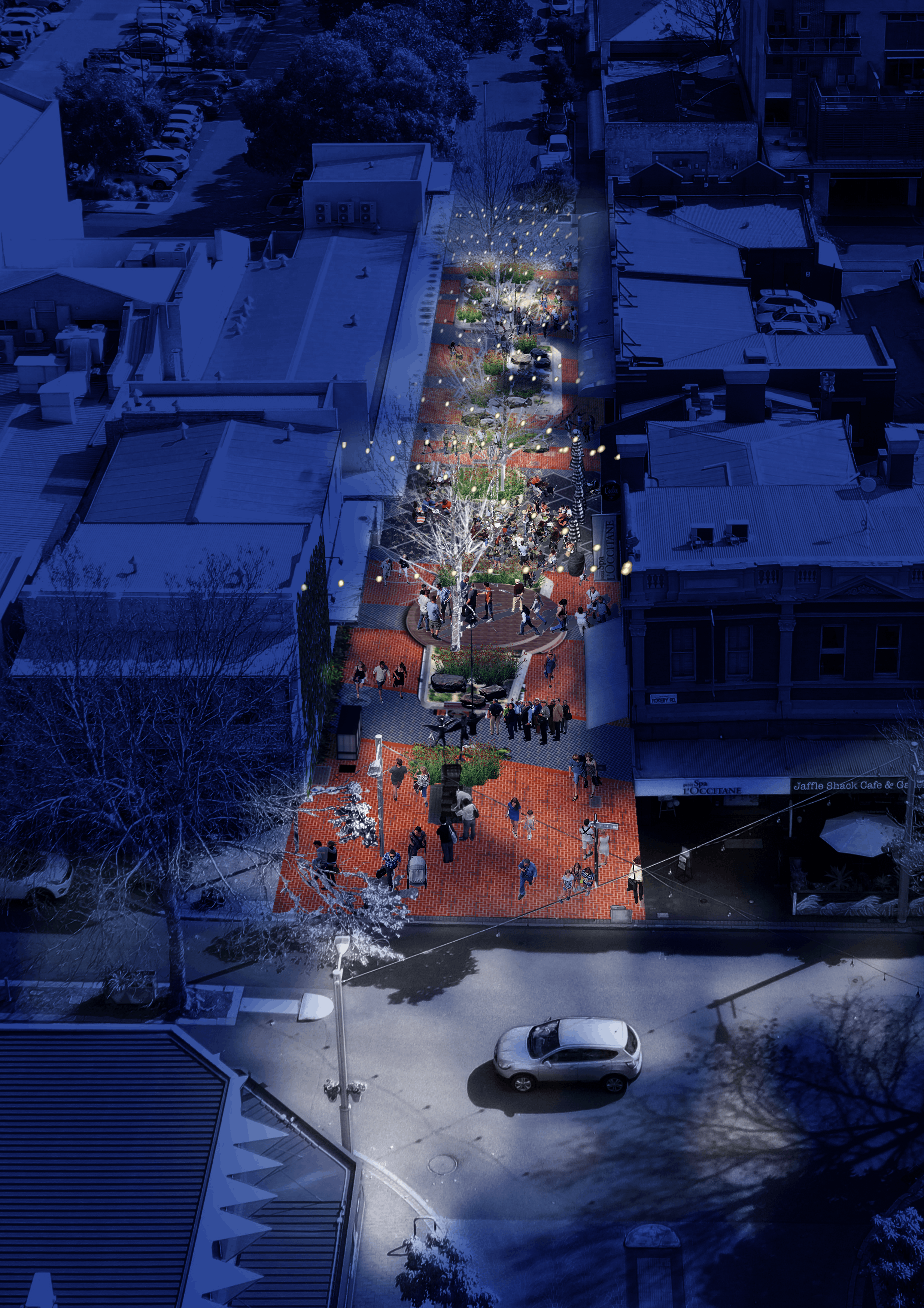 Forrest Walk Nightime