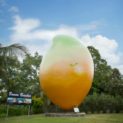 Big Mango - Bowen Tourism Information Centre