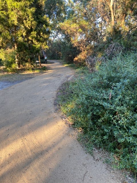 Fourth Avenue trail extension - 29 May 2024