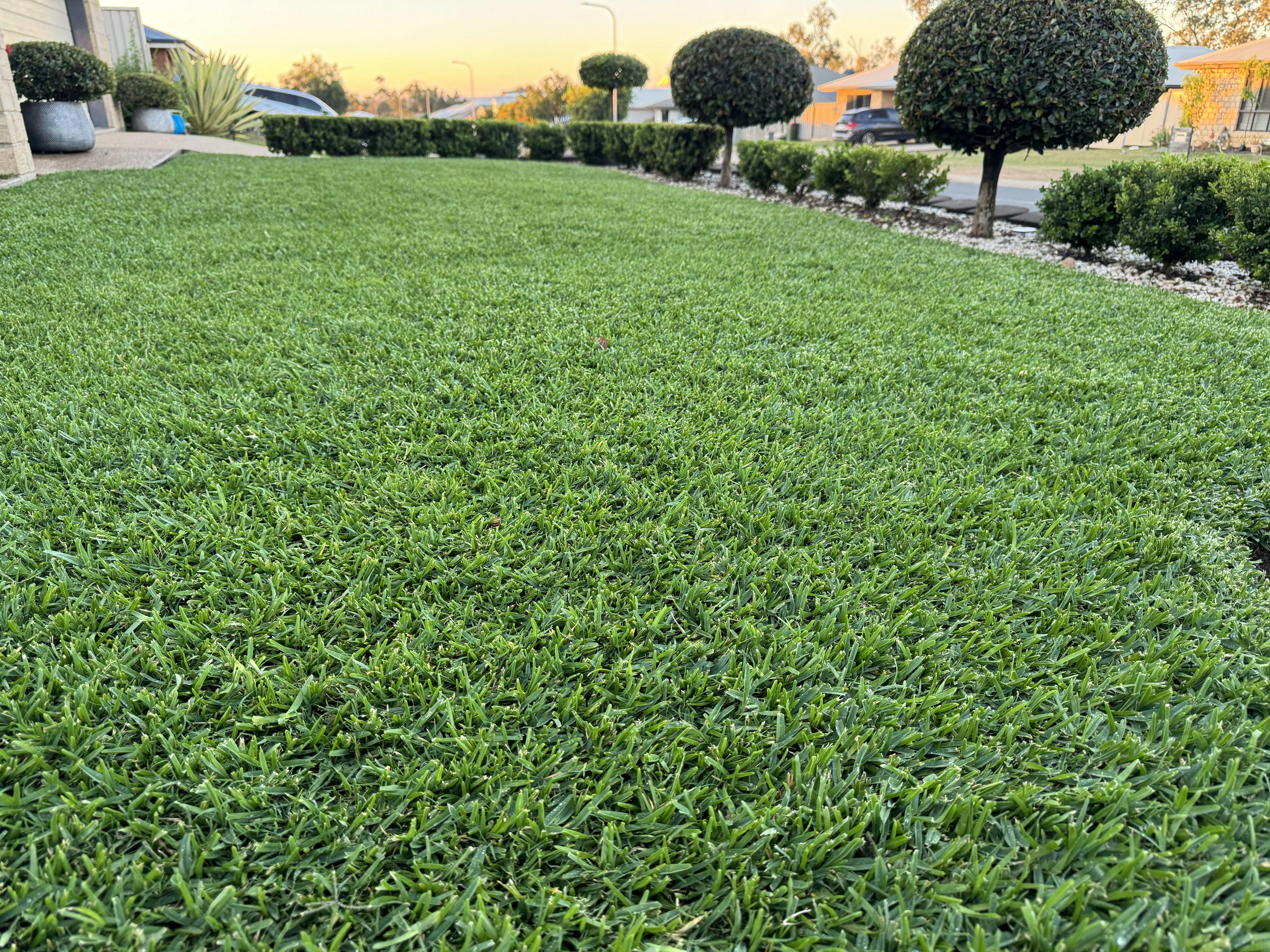 The Garden of Isaac.jpeg