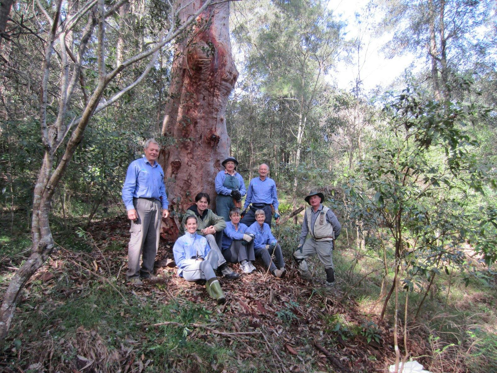 Blue Gum Bushcare Group Volunteers