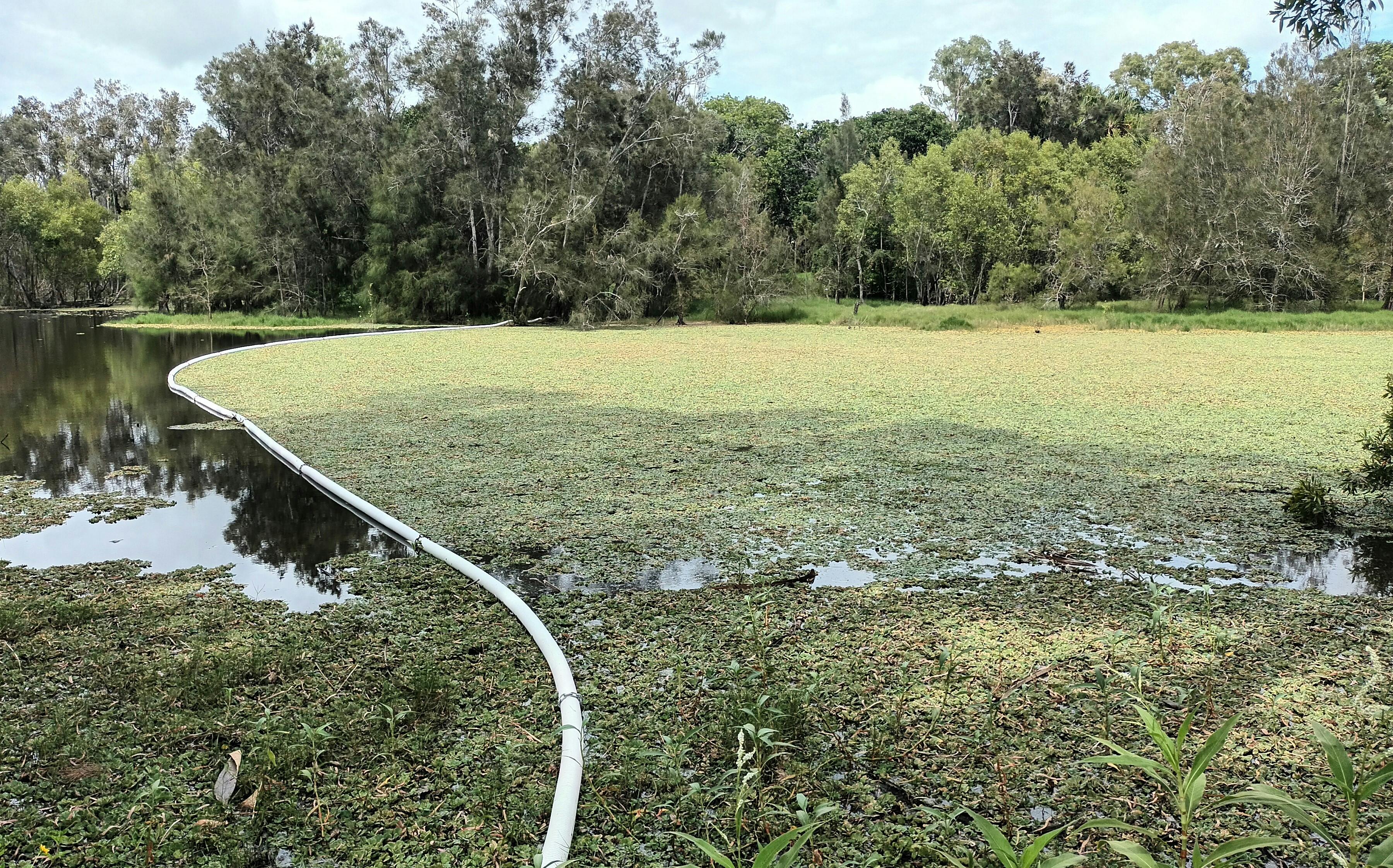 Moore Park Beach Wetland Reserve - installation of a third boom November 2022.jpg