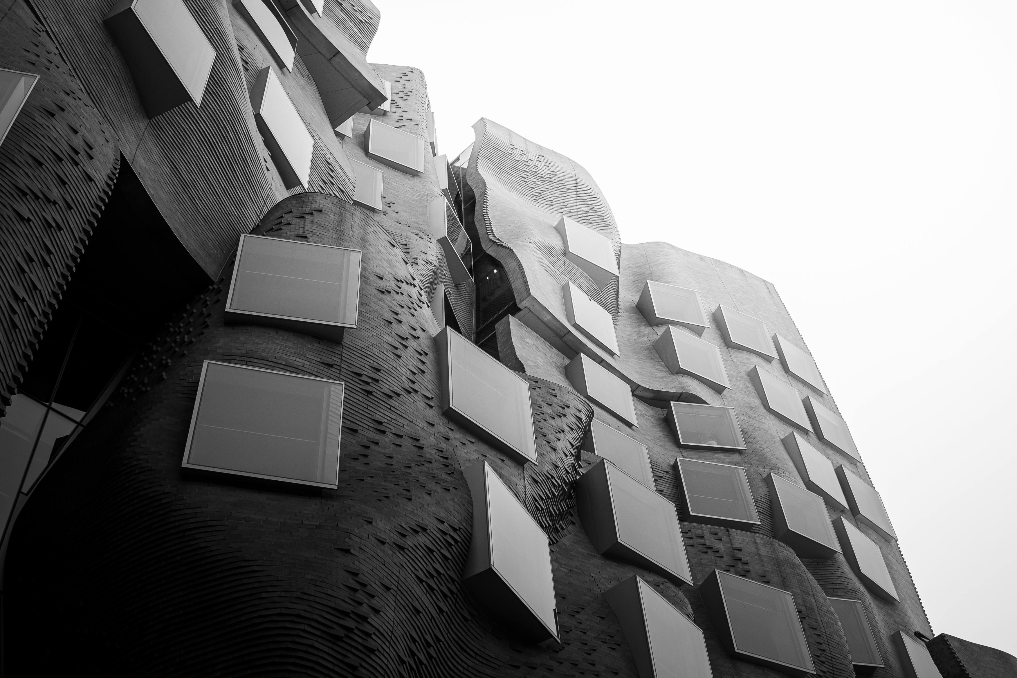 Abhijith Manoj Kumar- Winner Best Overall Submission - Black and White.jpg