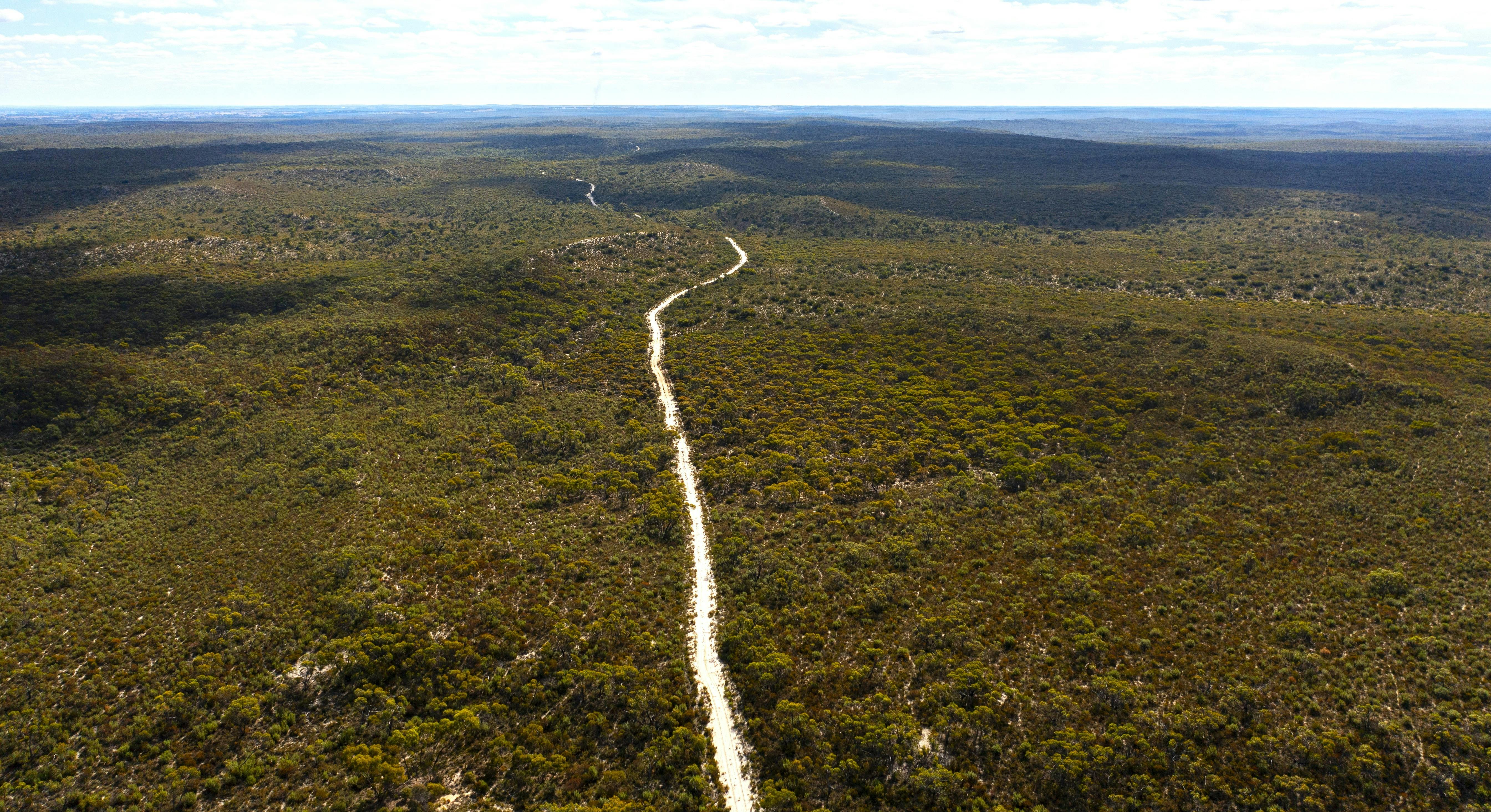 6 - The plan aims to support the largest remaining corridors of mallee vegetation.jpg