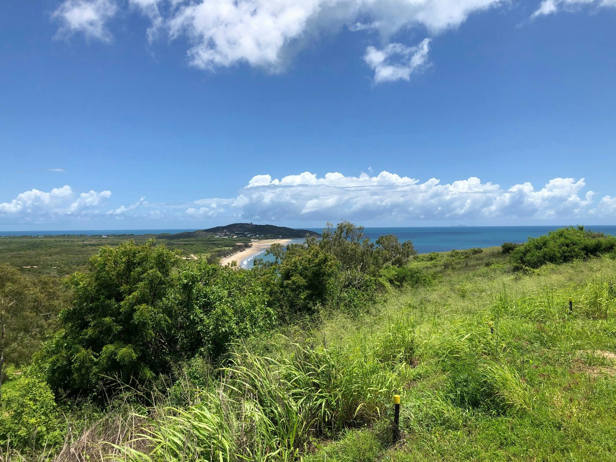 Flagstaff Hill - view of Rose Bay.jpg