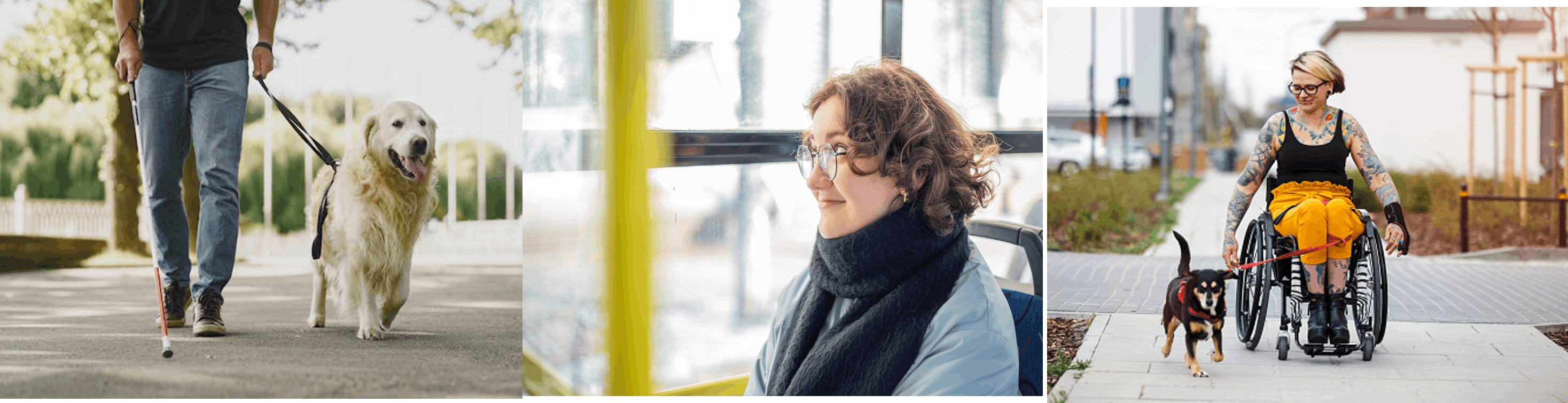 blind person with cane walking dog, young women with glasses siting on bus,  women in a manual wheelchair walking her dog