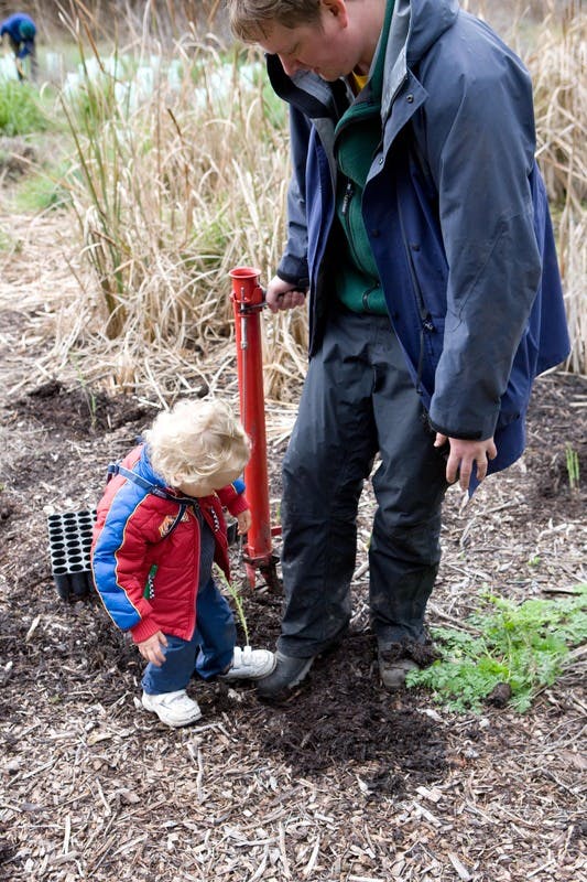 Community Planting