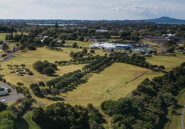 Aerial view of south-eastern part of Lloyd Elsmore Park
