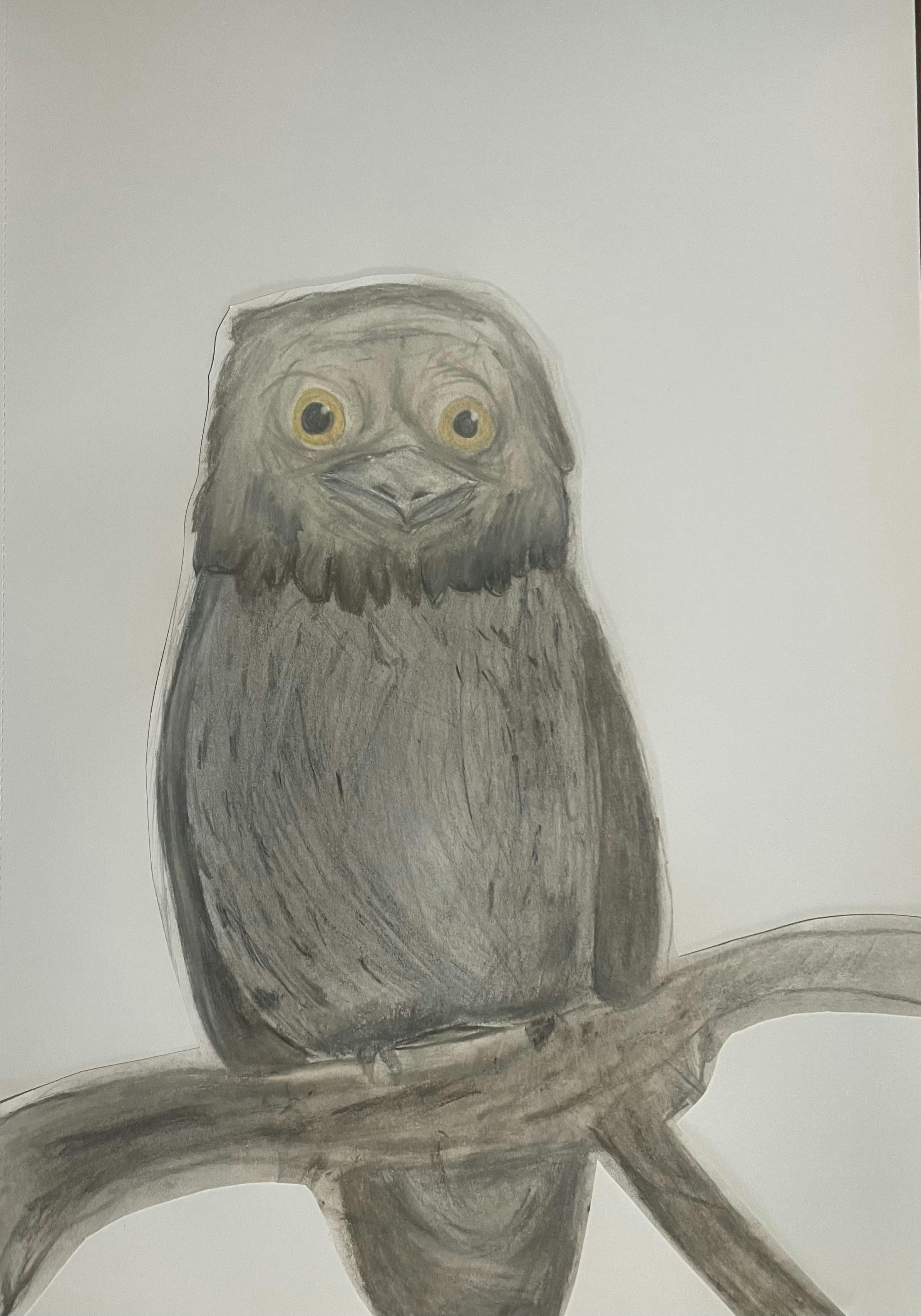 Adelaide Allison - Tawny