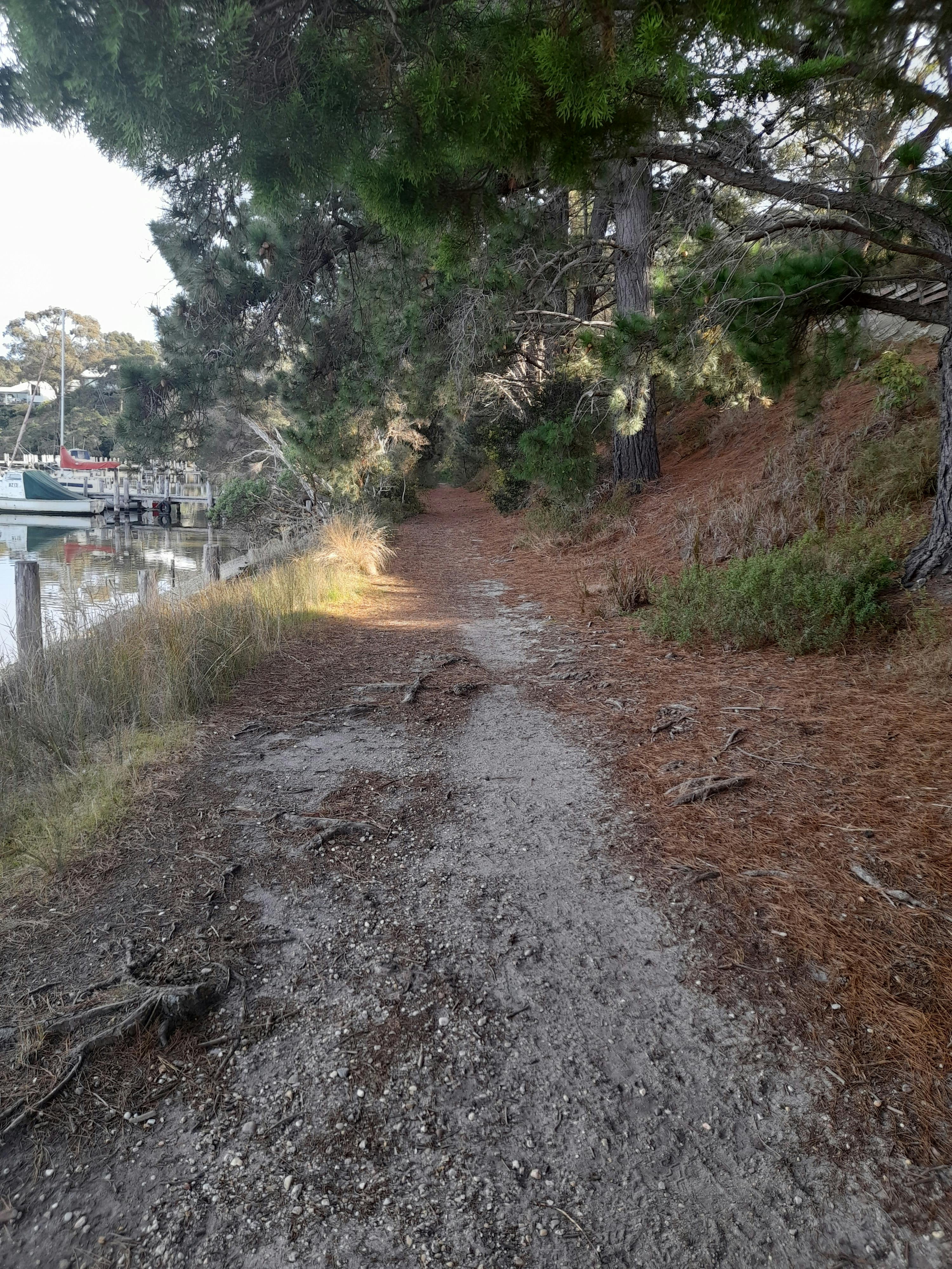 Dinni Birraark site walk on 4 August 2023