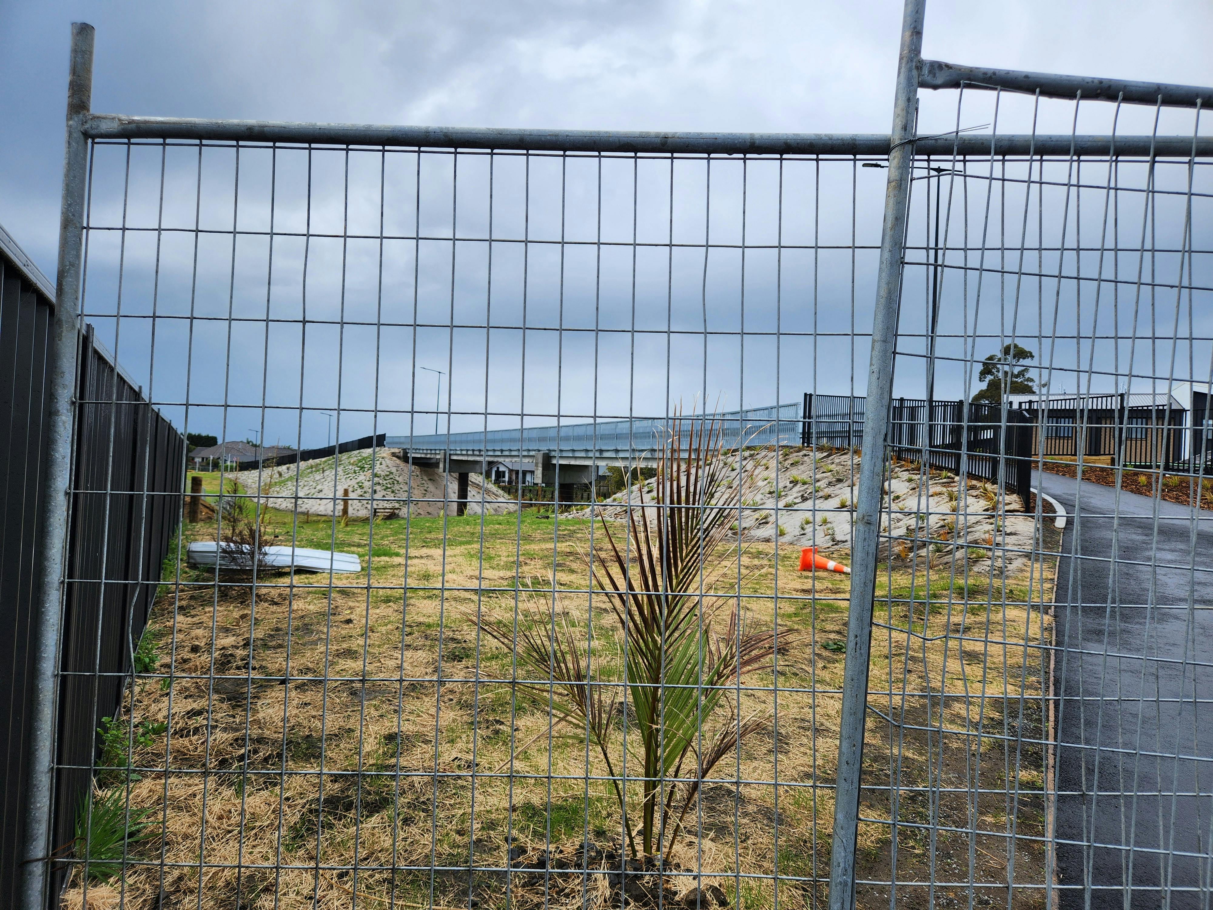 2025-09-29 Tangimoana Bridge (3).jpg