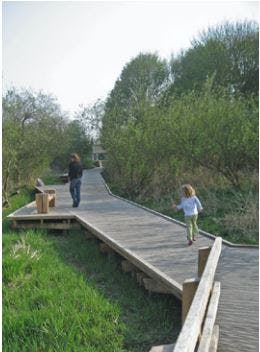 An example of a boardwalk that could make more areas of the precinct accessible.