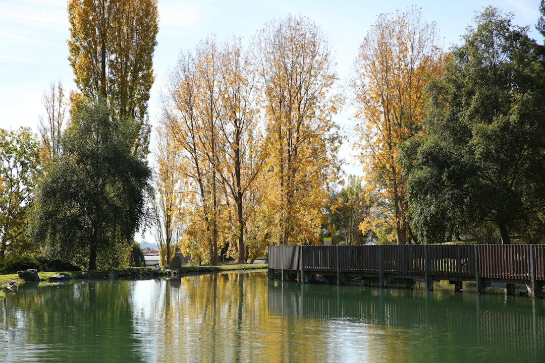 Armidale Arboretum