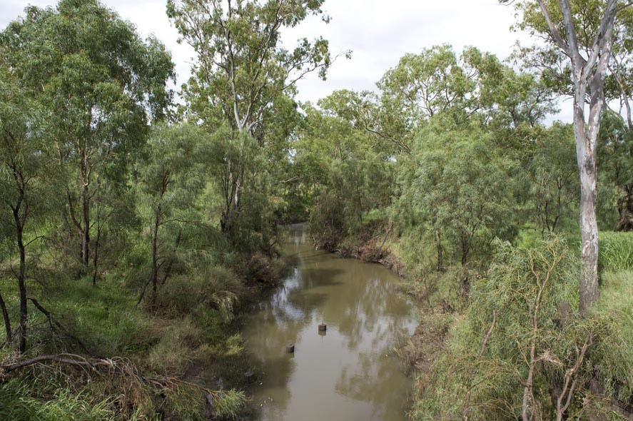 Condamine River Between Dalby And Cecil Plains