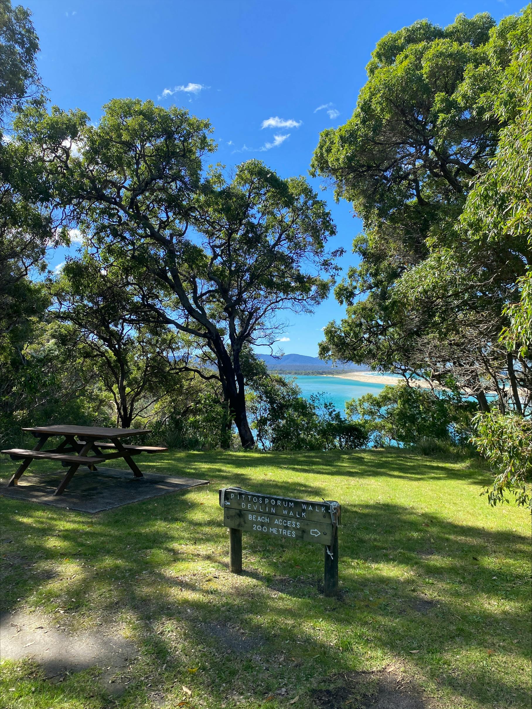 Pittosporum Walk Picnic Setting - August 2024