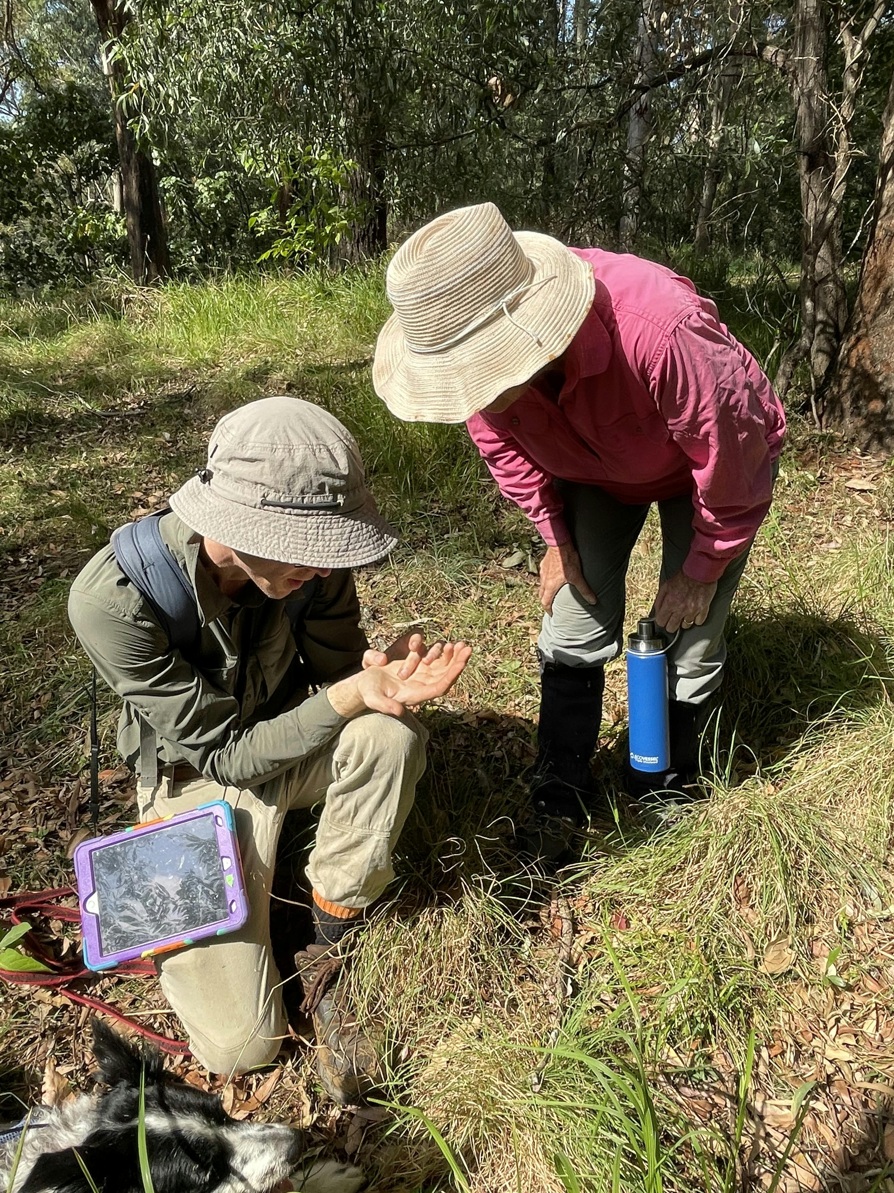 Marcus showing Gilston Landholder GG scat.jpg