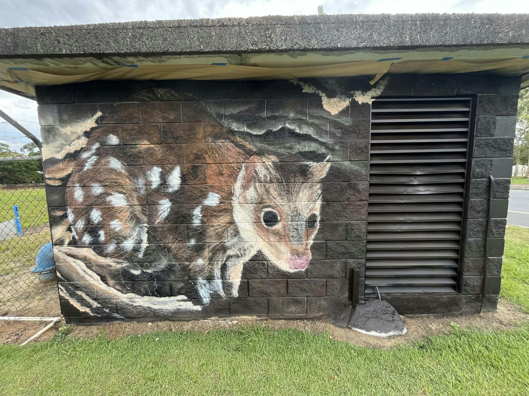 Progress photo - Quoll
