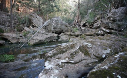 Stonequarry Creek landscape