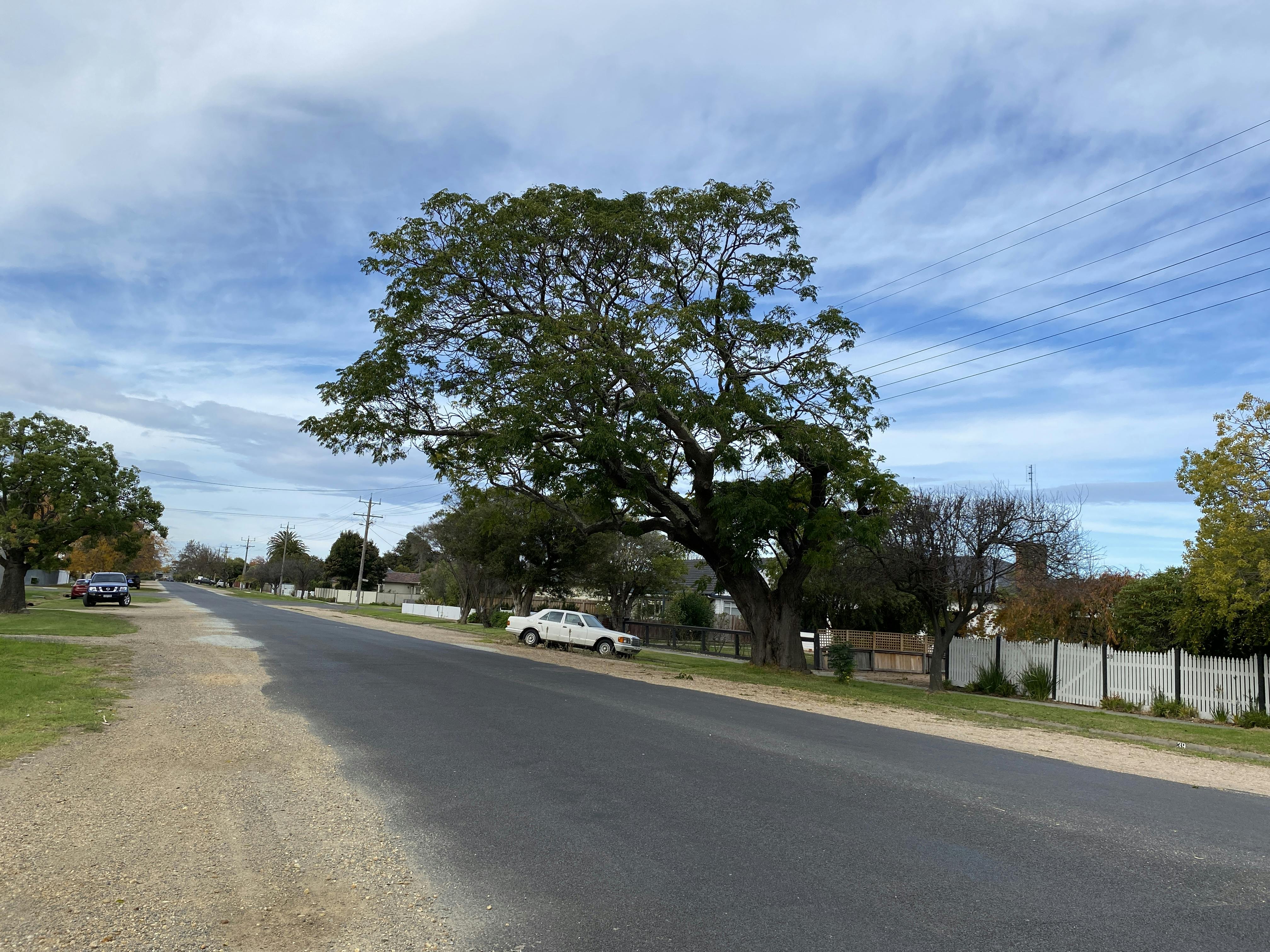 Murphy Street - 10 May 2024