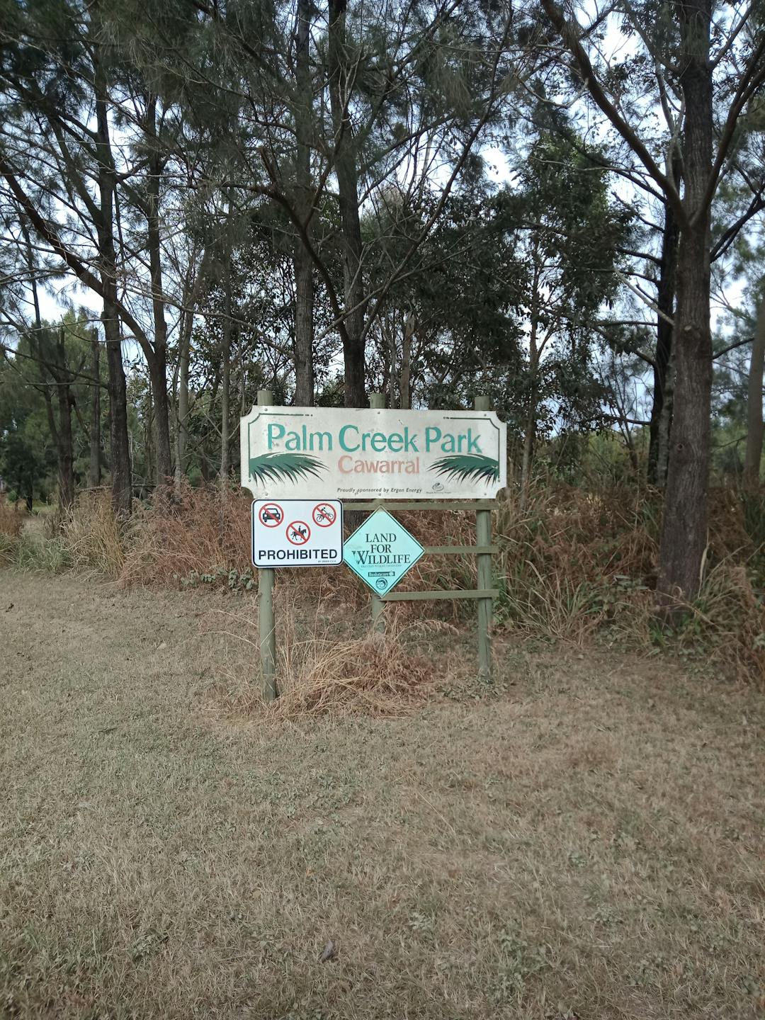 Palm Tree Creek Reserve