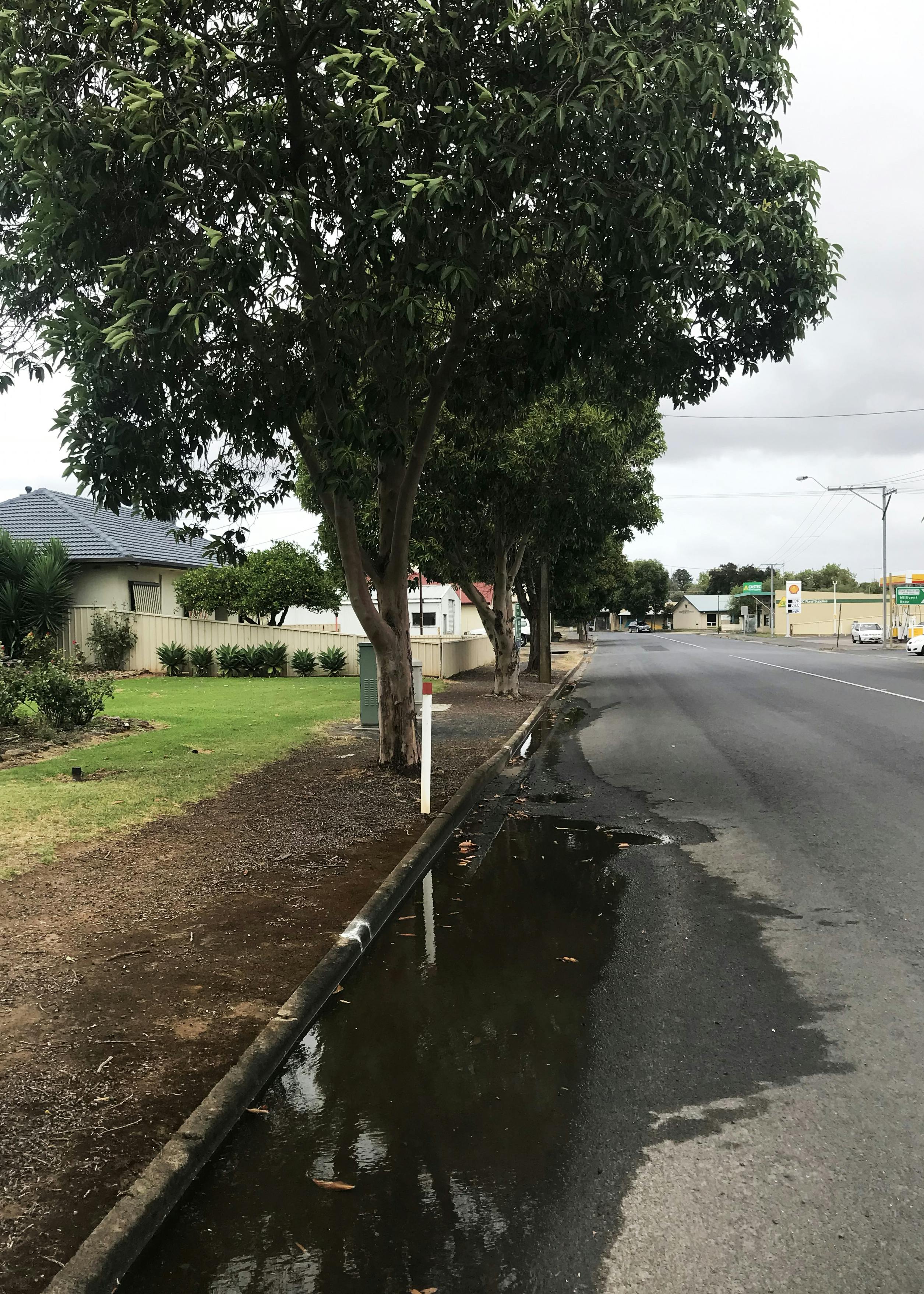 1. Damaged Kerb Church Street Penola