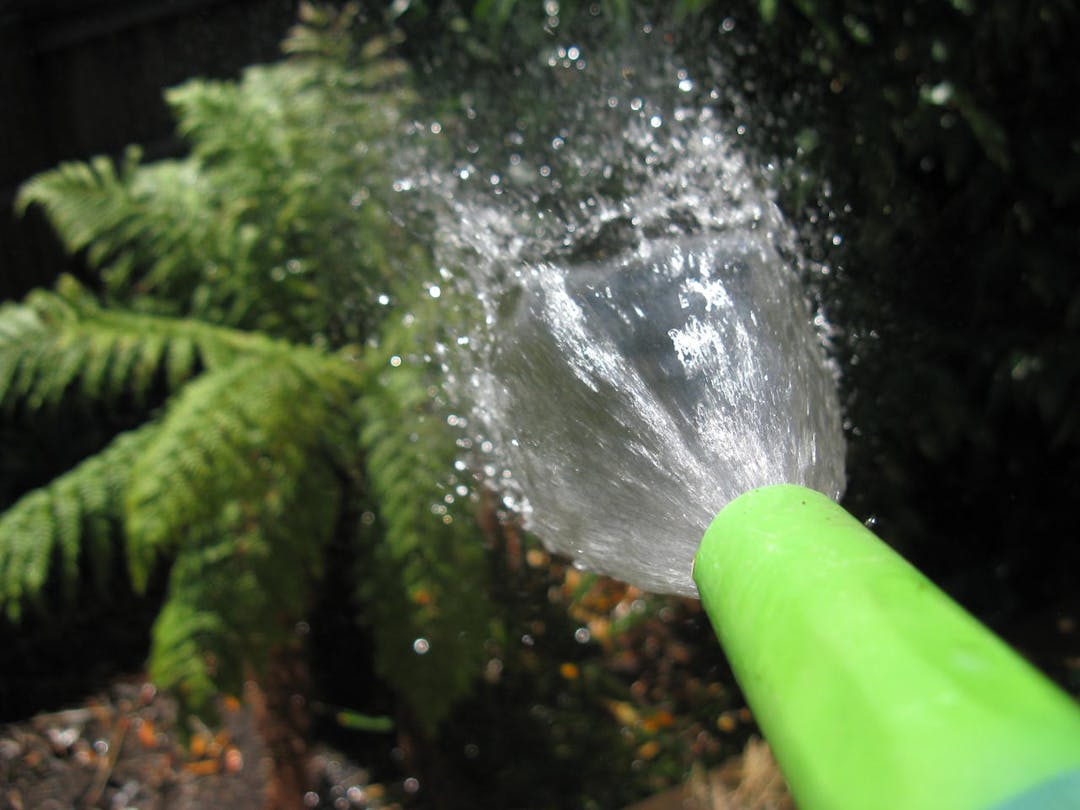 Using a trigger nozzle to hose plants will save water Using a trigger nozzle to hose plants will save water