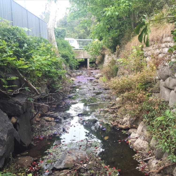 Channel and culvert at Dumbrell Road, Bulli