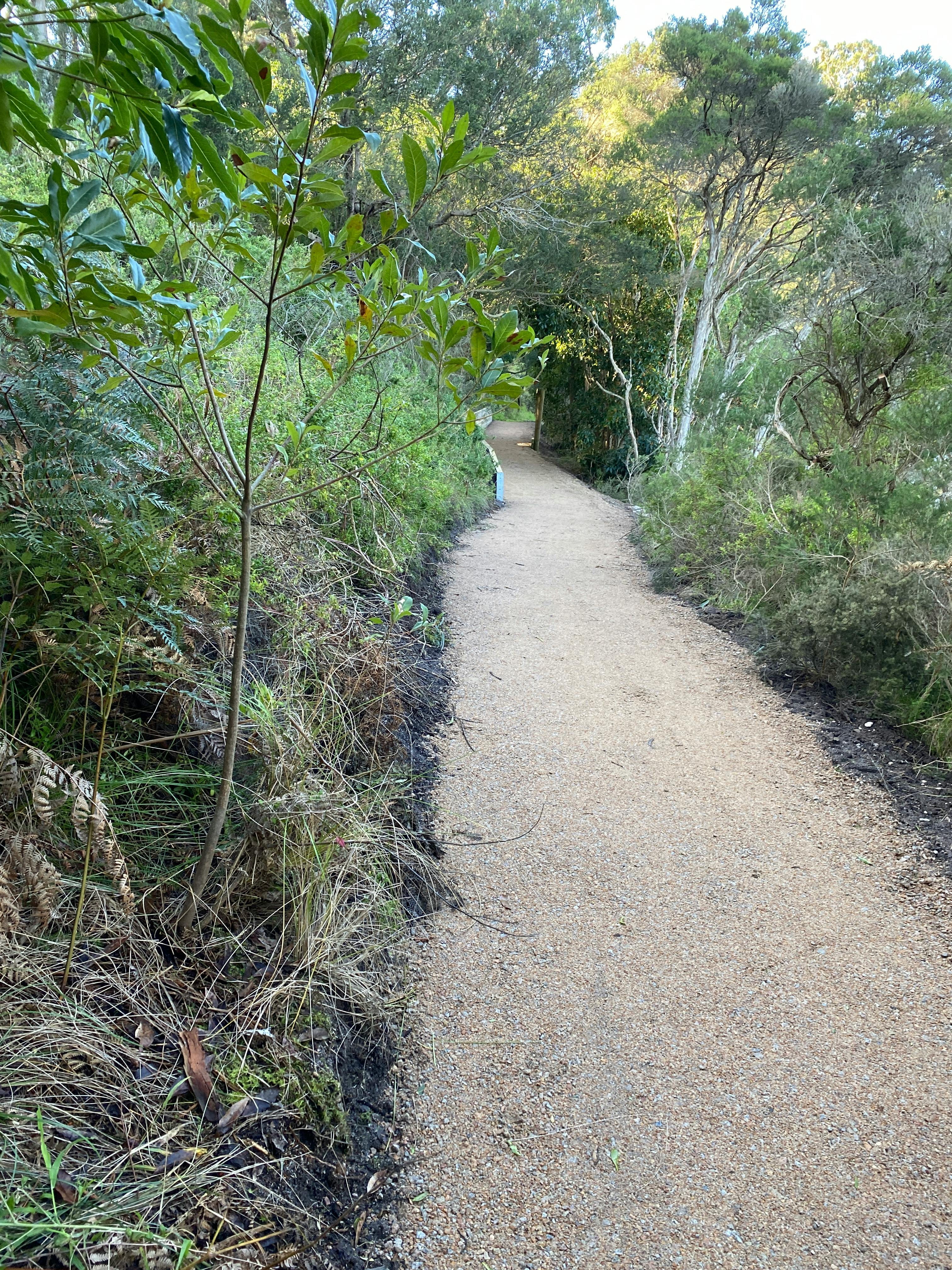 Completed Walk