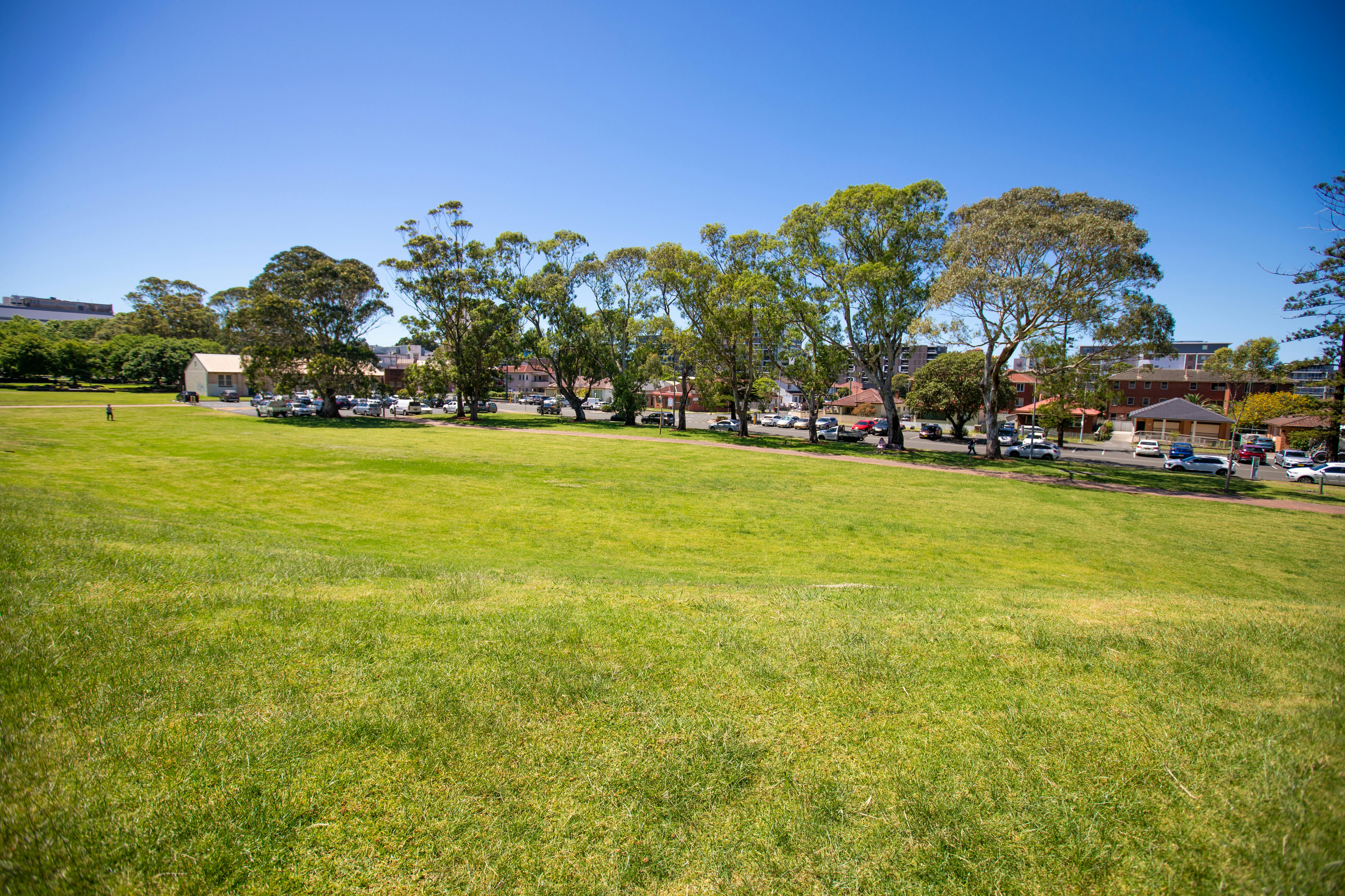 MacCabe Park Site 2 (Looking North East)