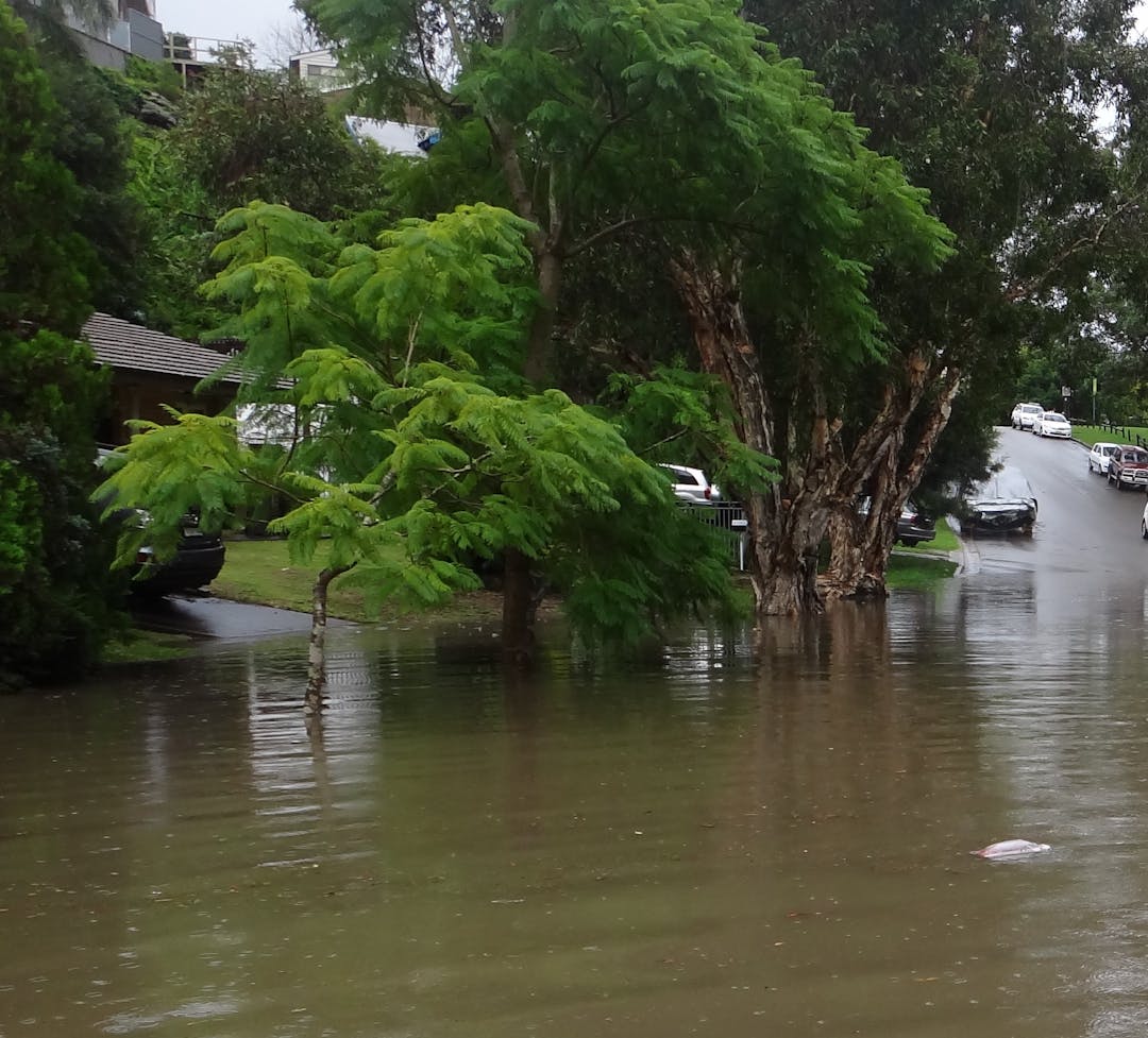 Residential road in the Sutherland Shire experiencing overland flooding. Houses, trees and parked cars in foreground. 