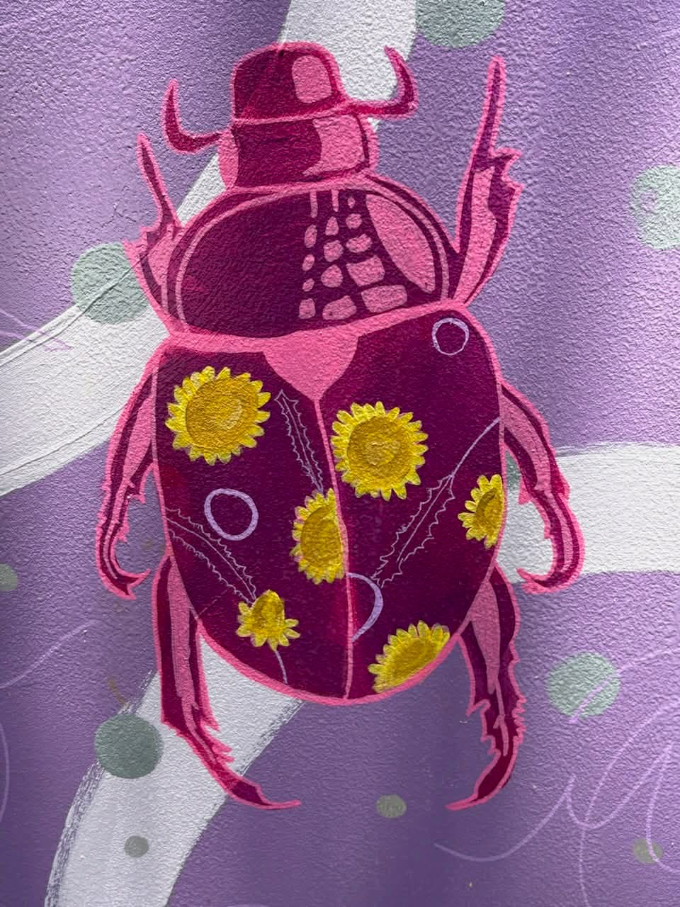 Queensland bugs close up - complete