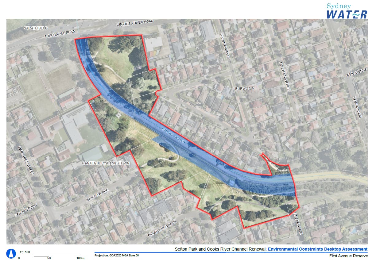 Walsh Ave and Cooks River Park Study Area.PNG