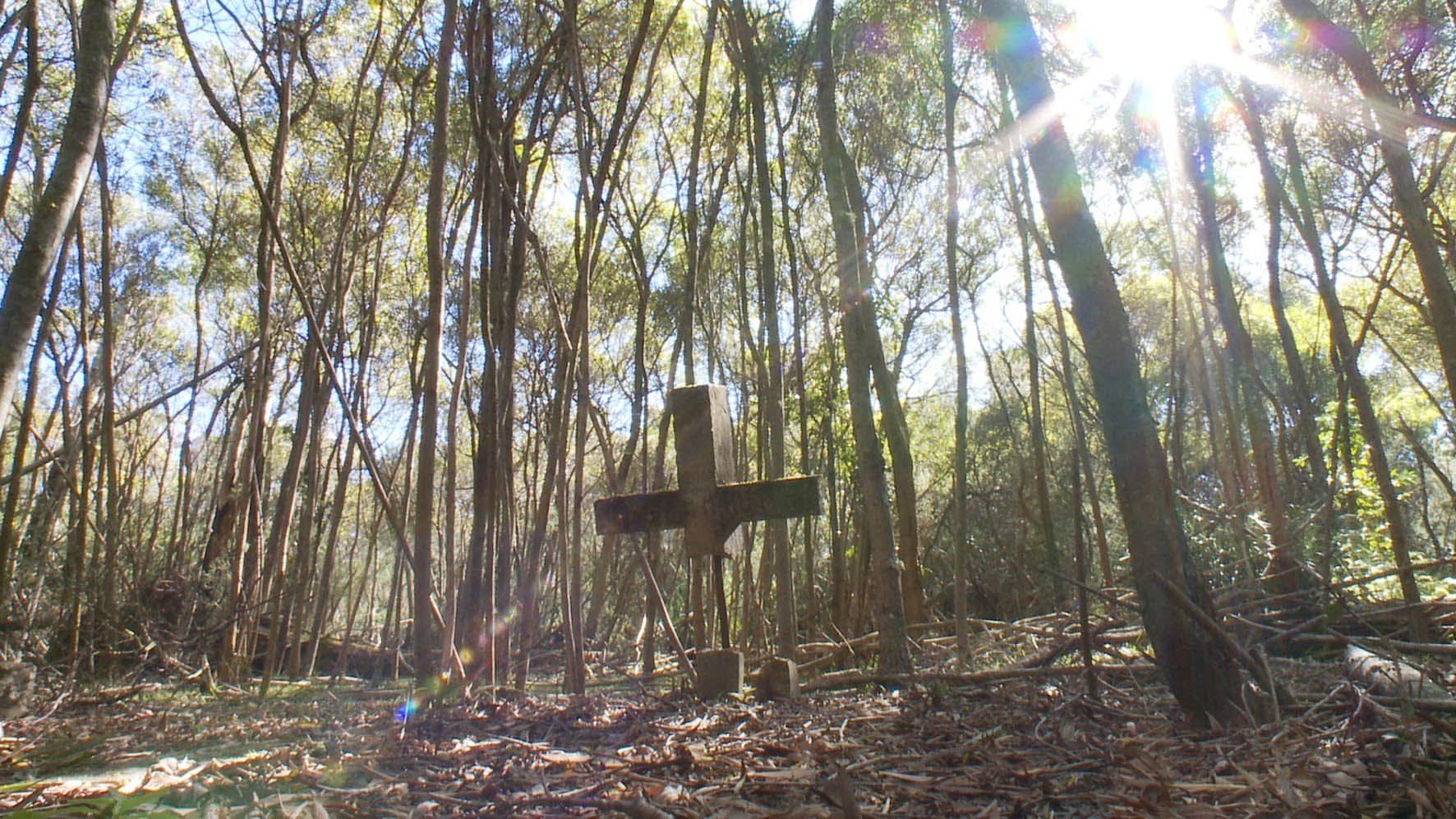 Partially damaged headstone