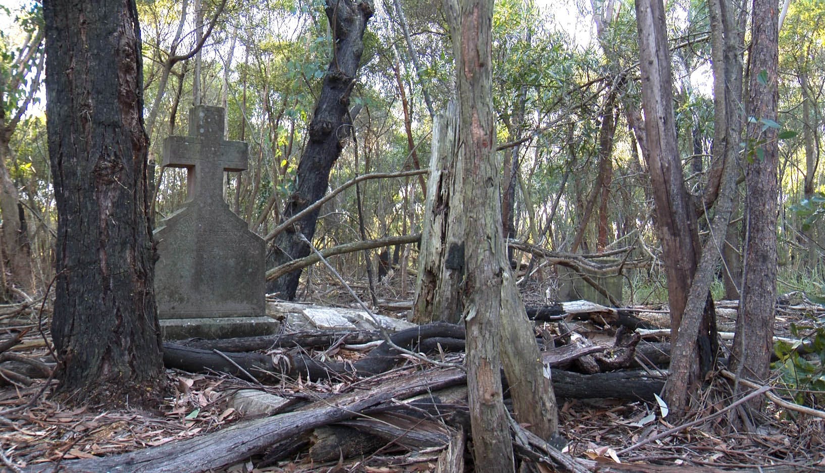 Surviving headstones in Church of England section