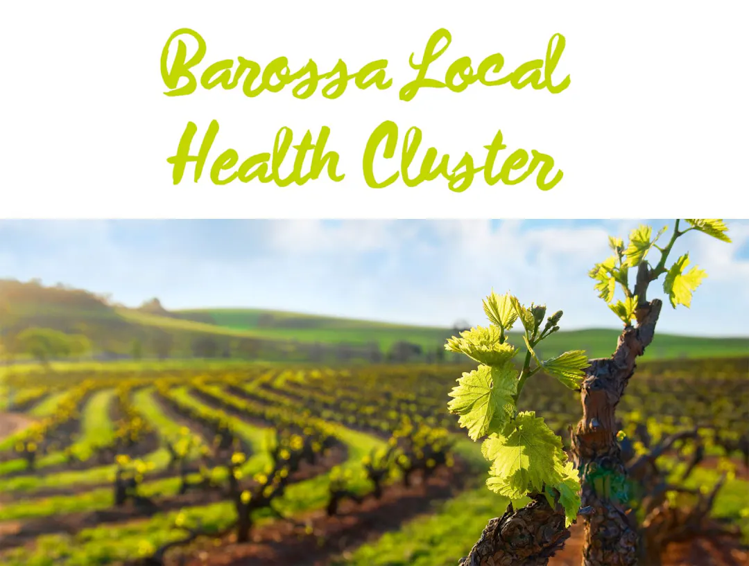 Image of Barossa Local Health Cluster Script Logo above a vineyard setting