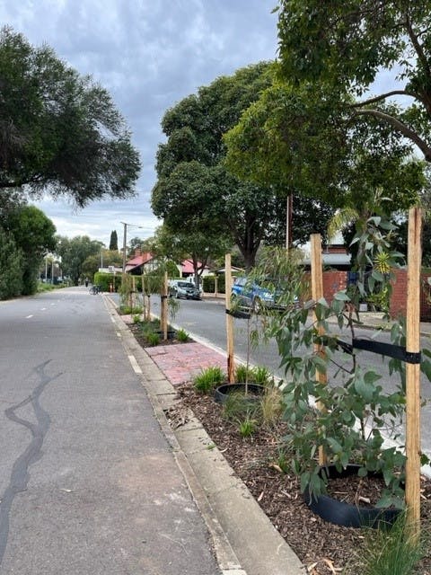 Rogers St - New planting and bin pads