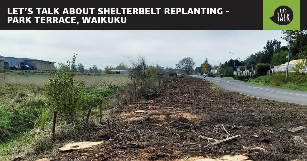 We want to know how the community would like the Council to manage the macrocarpa hedge in Park Terrace