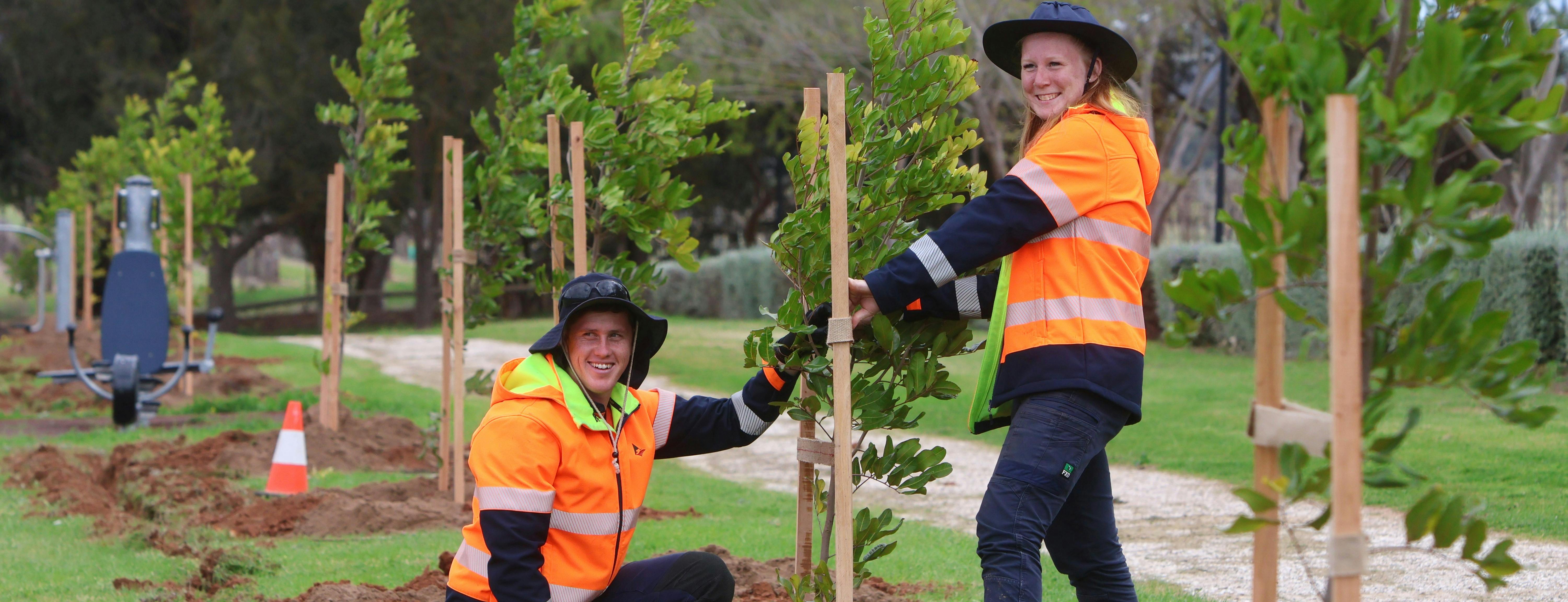 Two people planting trees
