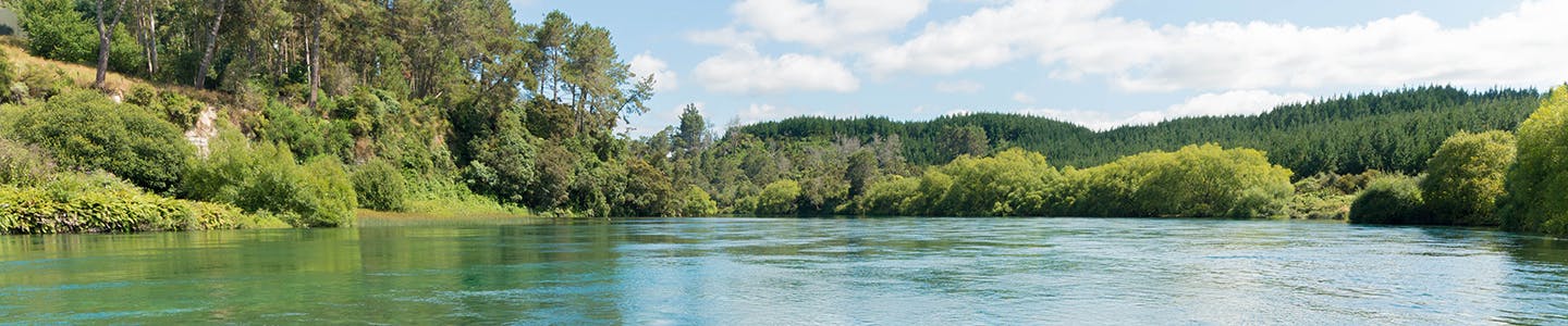 Image of lake with forestry around the edge