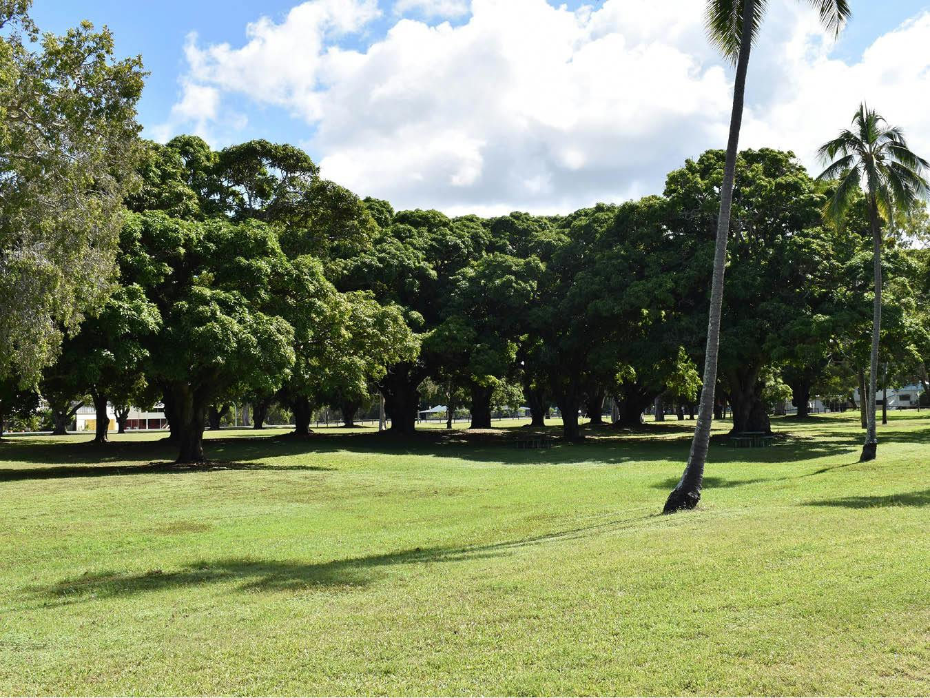 View from the pedestrian track at Intersection 4. The photograph is looking east along Seaforth Esplanade Road towards the camping grounds. 