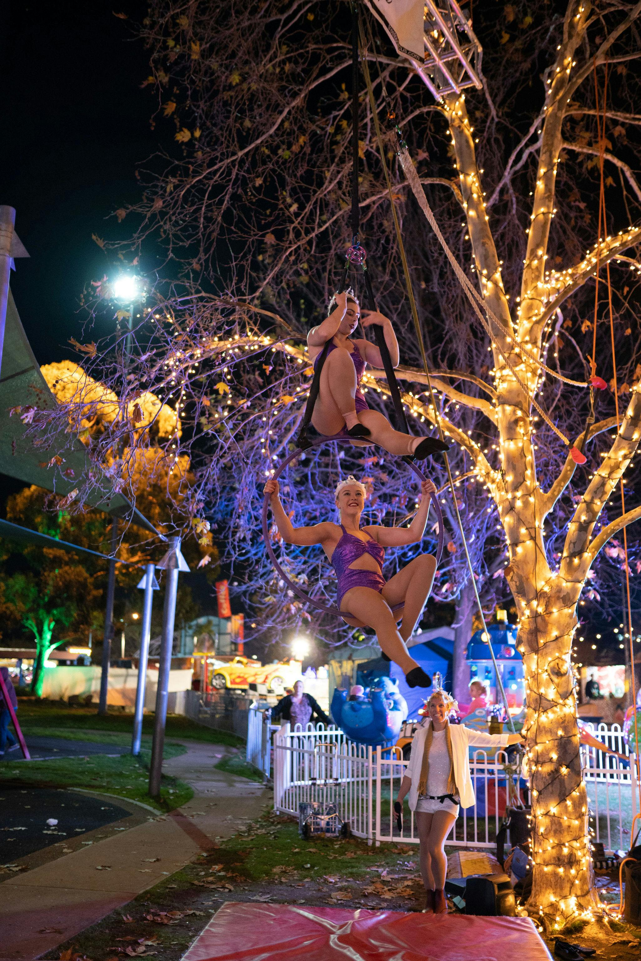 Winterland(280of384).JPG