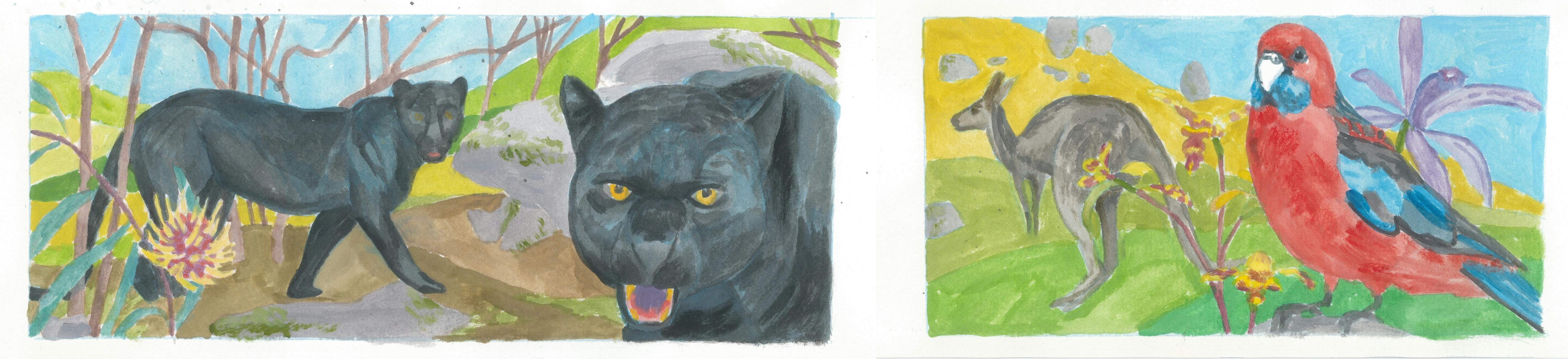 colourful illustrations of two black panthers, a kangaroo, a rosella and fauna