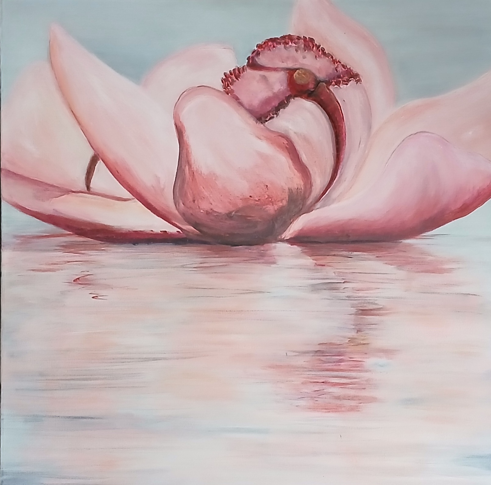 Dianne Martyn - Floating Cymbidium