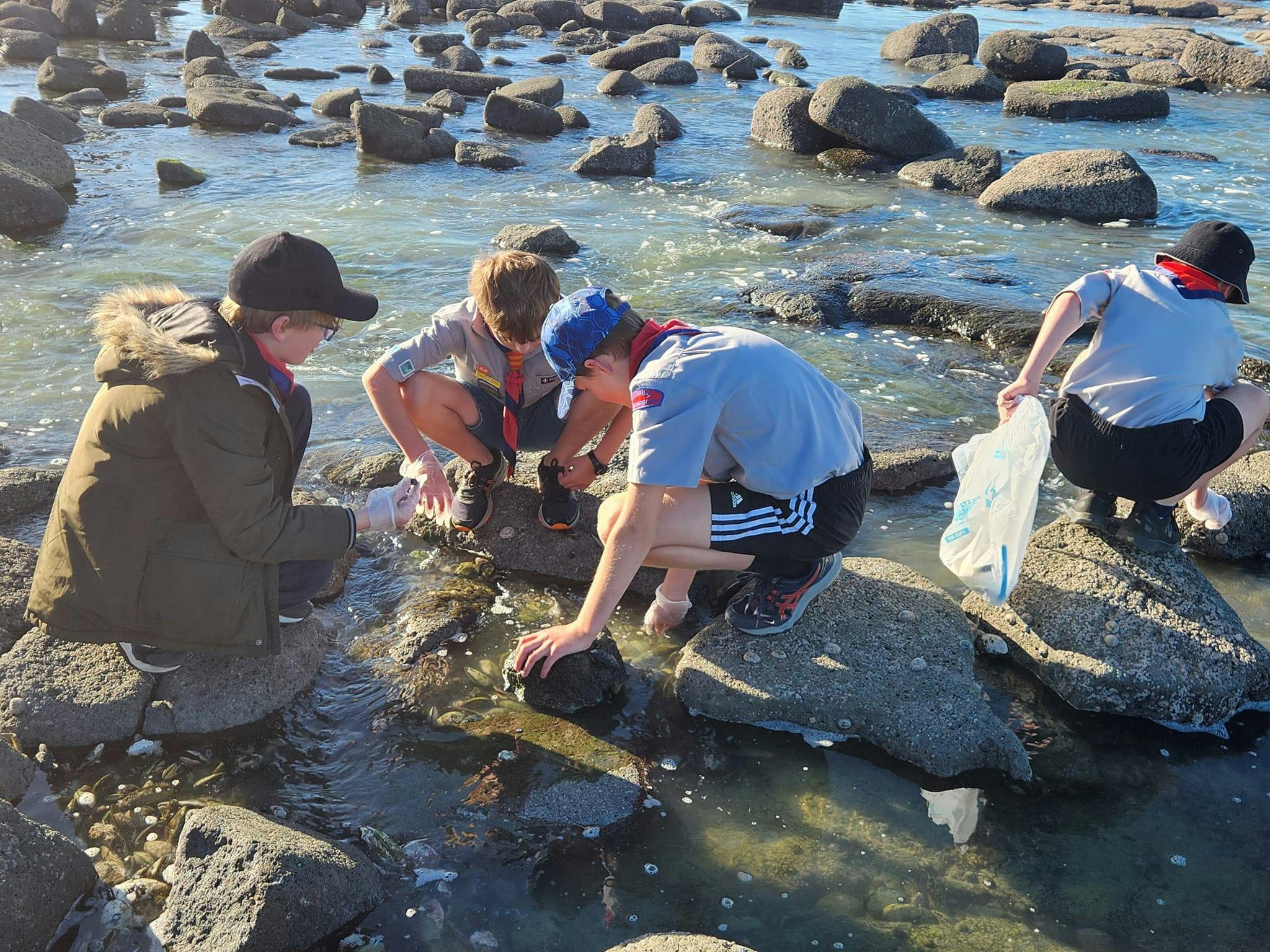 Local Timaru Scouts check out the rockpools while cleaning up rubbish during Seaweek 2023