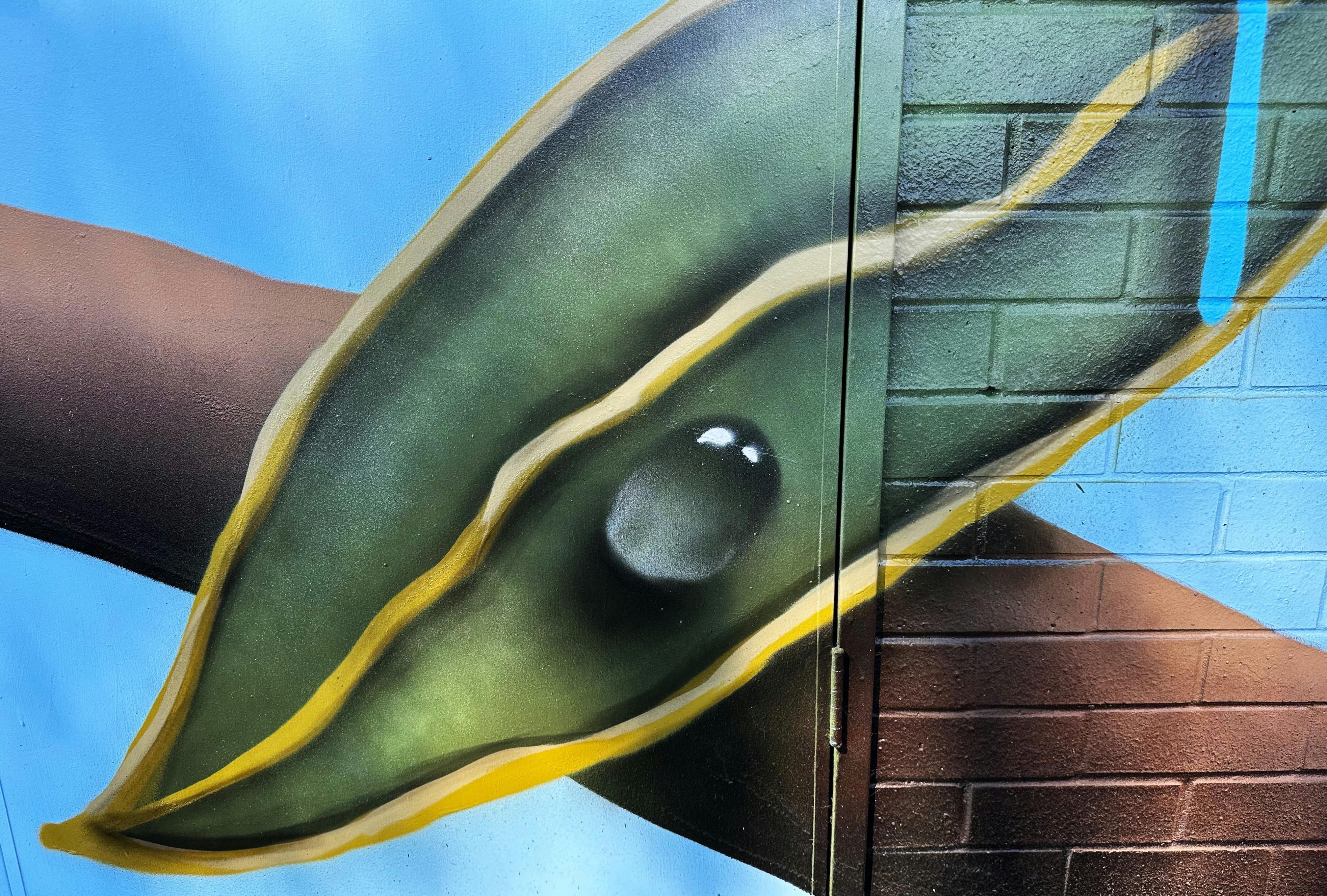 Small details on Unitywater mural.JPG