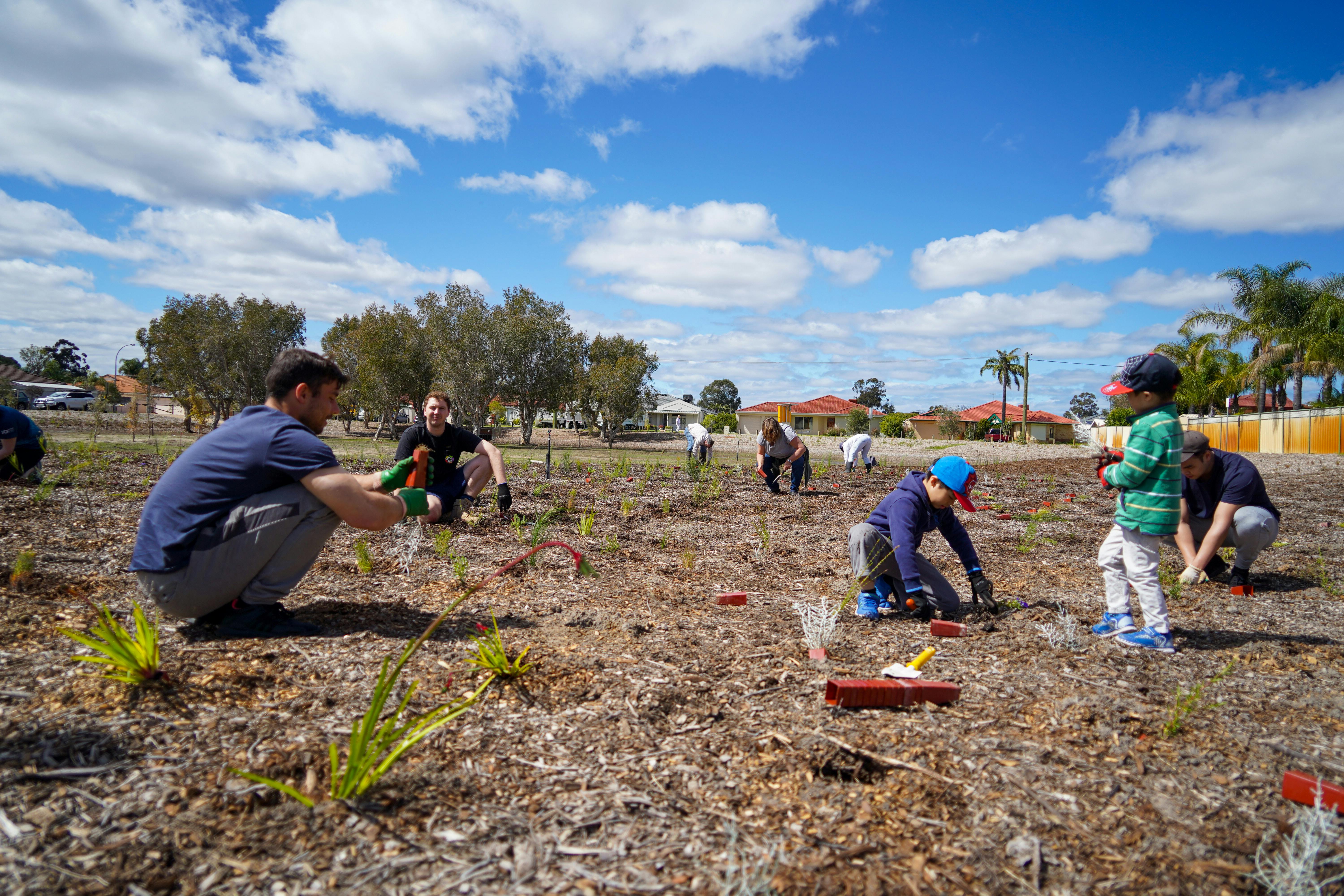 Groundlark Park Planting - Jesse Collins 03.jpg