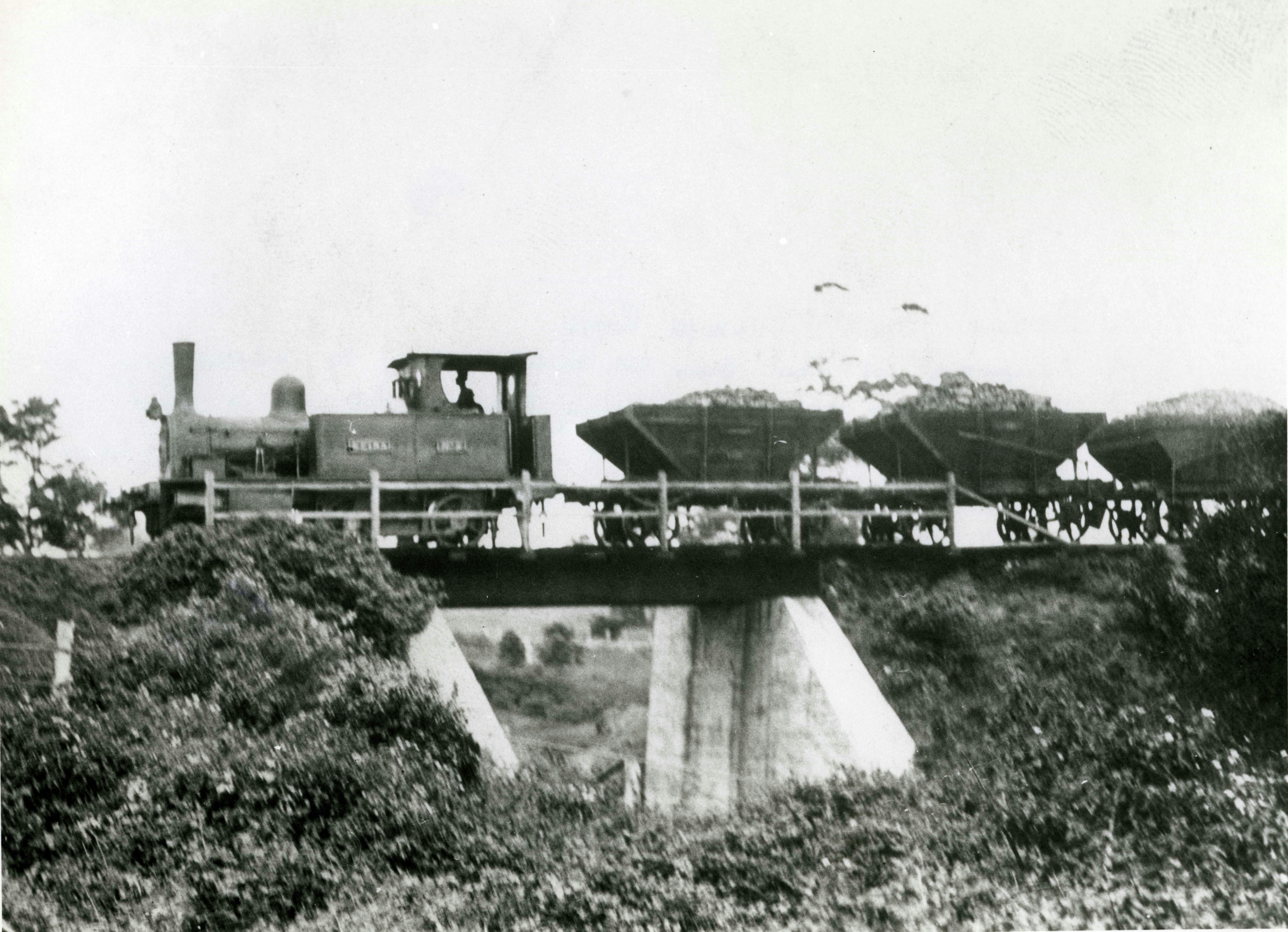 Tramline (Wollongong City Library, Local Studies collection)