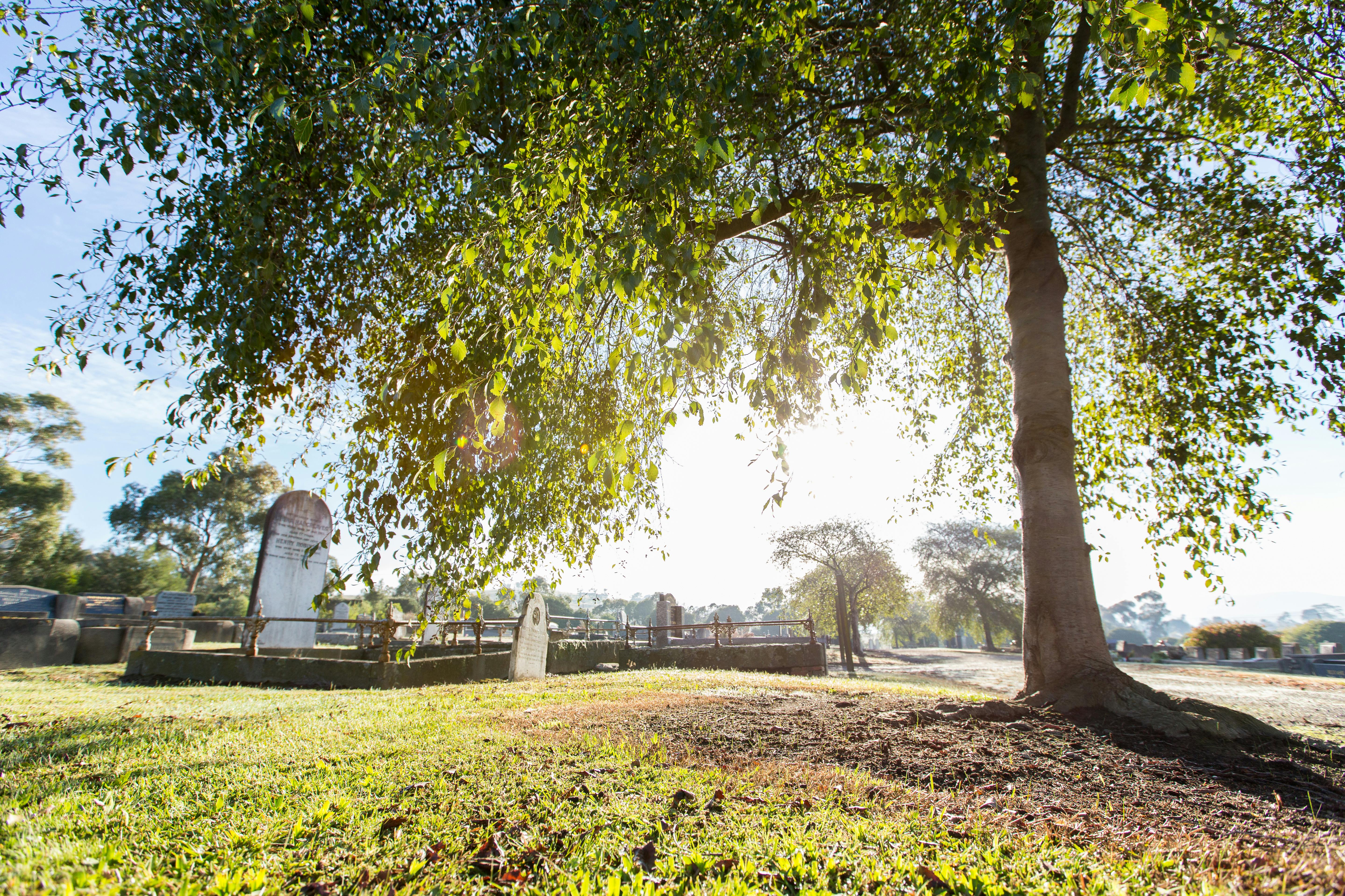 Yarra Glen Cemetery - hero.jpg